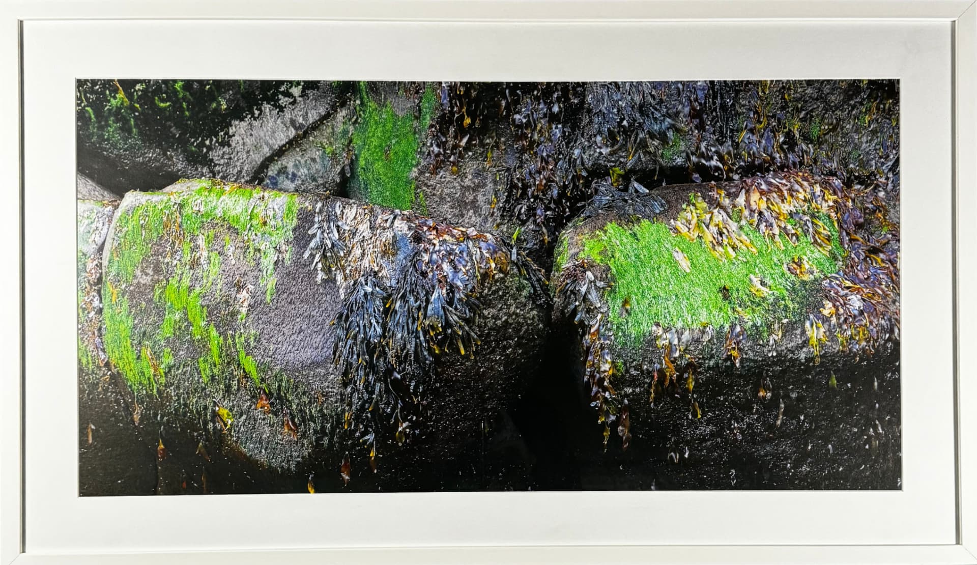 Lightscapes 21, Finnur P. Fróðason